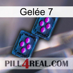 Gelée 7 03